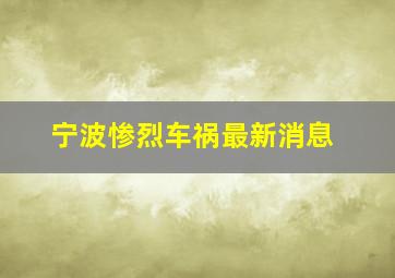 宁波惨烈车祸最新消息