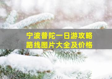 宁波普陀一日游攻略路线图片大全及价格