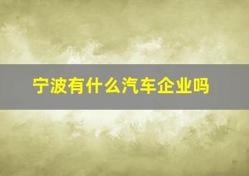 宁波有什么汽车企业吗