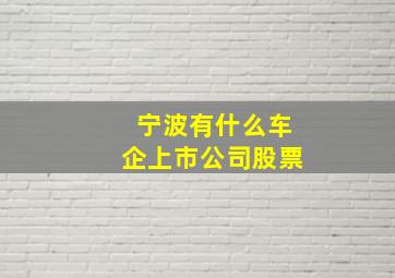 宁波有什么车企上市公司股票