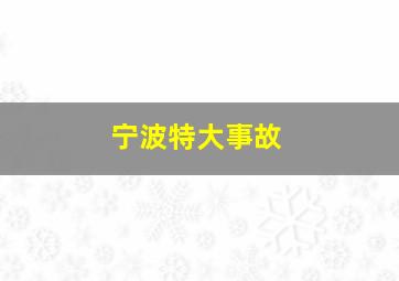 宁波特大事故