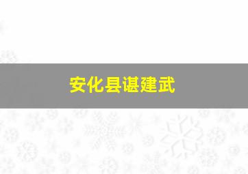 安化县谌建武