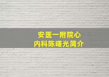 安医一附院心内科陈曙光简介