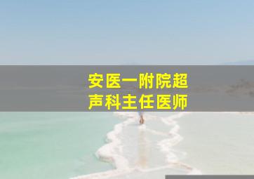 安医一附院超声科主任医师