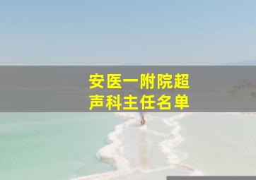 安医一附院超声科主任名单