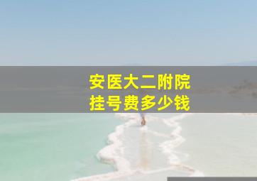 安医大二附院挂号费多少钱