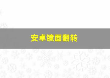 安卓镜面翻转