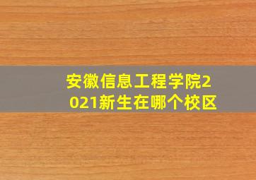 安徽信息工程学院2021新生在哪个校区