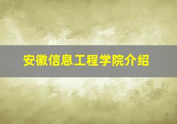 安徽信息工程学院介绍