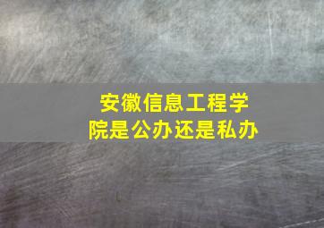 安徽信息工程学院是公办还是私办