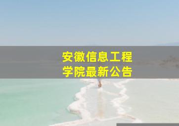 安徽信息工程学院最新公告