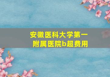 安徽医科大学第一附属医院b超费用