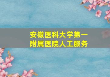 安徽医科大学第一附属医院人工服务