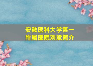 安徽医科大学第一附属医院刘斌简介