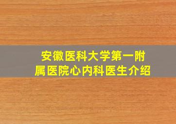 安徽医科大学第一附属医院心内科医生介绍