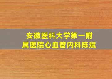 安徽医科大学第一附属医院心血管内科陈斌