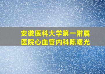 安徽医科大学第一附属医院心血管内科陈曙光