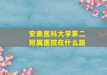 安徽医科大学第二附属医院在什么路