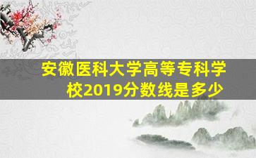 安徽医科大学高等专科学校2019分数线是多少