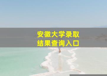 安徽大学录取结果查询入口