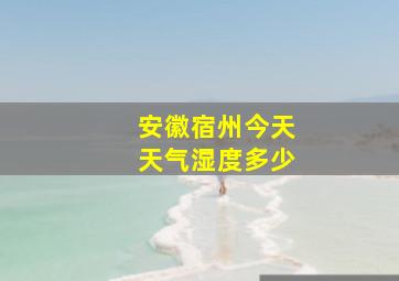 安徽宿州今天天气湿度多少