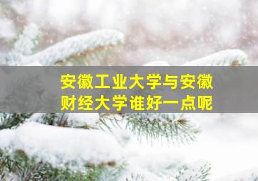 安徽工业大学与安徽财经大学谁好一点呢