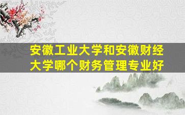 安徽工业大学和安徽财经大学哪个财务管理专业好