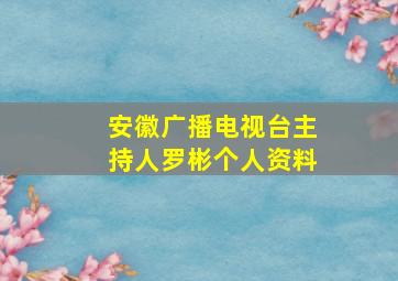 安徽广播电视台主持人罗彬个人资料