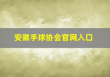 安徽手球协会官网入口