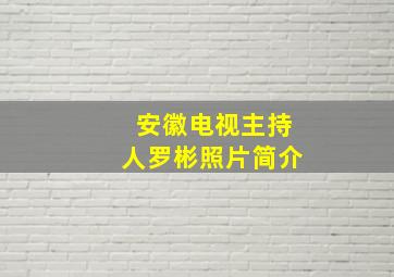 安徽电视主持人罗彬照片简介