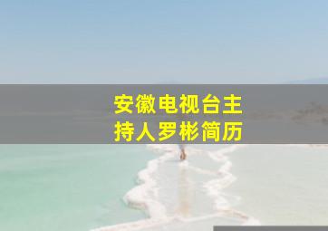 安徽电视台主持人罗彬简历