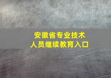 安徽省专业技术人员继续教育入口