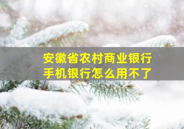 安徽省农村商业银行手机银行怎么用不了