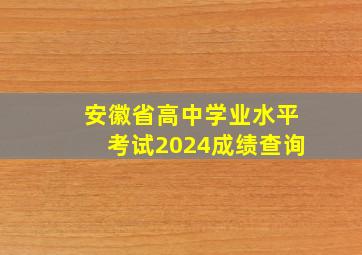 安徽省高中学业水平考试2024成绩查询