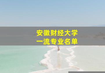 安徽财经大学一流专业名单