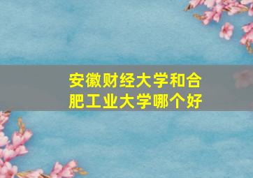 安徽财经大学和合肥工业大学哪个好