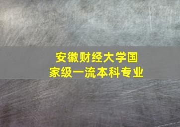 安徽财经大学国家级一流本科专业