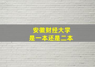 安徽财经大学是一本还是二本