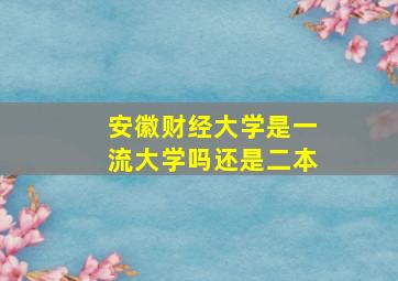 安徽财经大学是一流大学吗还是二本