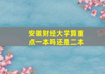 安徽财经大学算重点一本吗还是二本