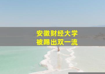 安徽财经大学被踢出双一流