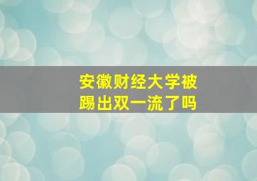 安徽财经大学被踢出双一流了吗