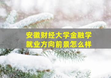 安徽财经大学金融学就业方向前景怎么样