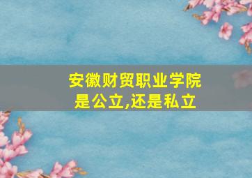 安徽财贸职业学院是公立,还是私立