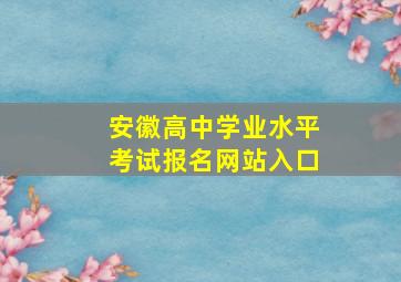 安徽高中学业水平考试报名网站入口