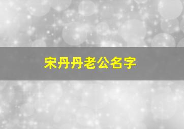 宋丹丹老公名字