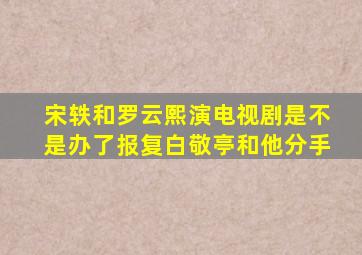 宋轶和罗云熙演电视剧是不是办了报复白敬亭和他分手