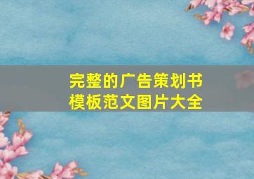 完整的广告策划书模板范文图片大全