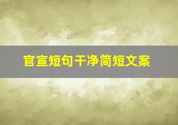 官宣短句干净简短文案