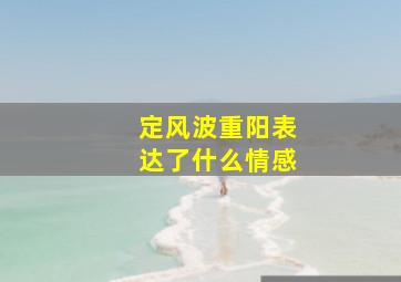 定风波重阳表达了什么情感